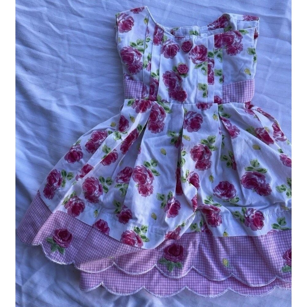 Vintage Blueberi Boulevard Girls Sz 12 Months Floral Dress Pink Red Rose